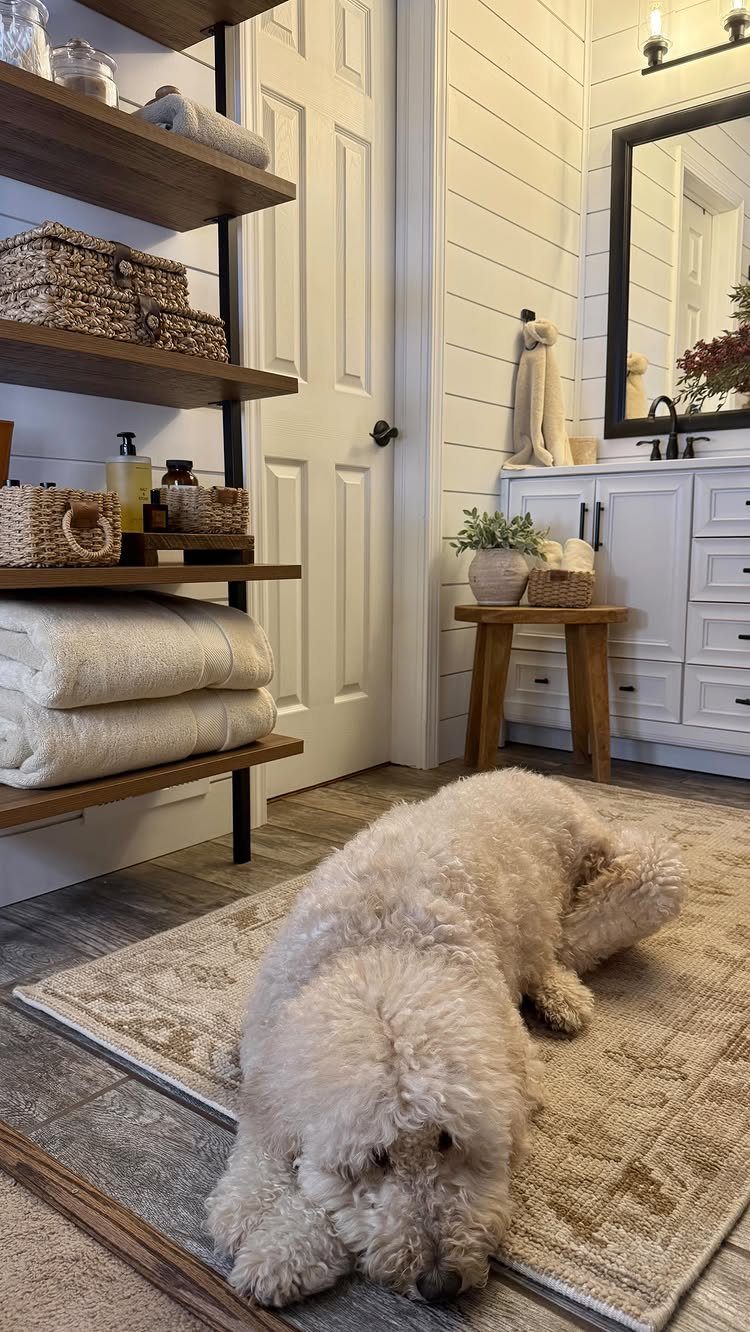 White fluffy dog lying on a rug in a bright bathroom with white vanity.