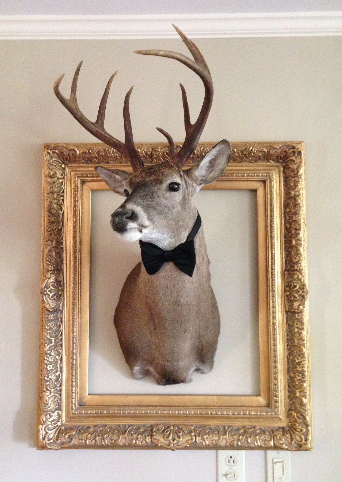 Taxidermy deer head with a black bow tie mounted inside an ornate gold frame.
