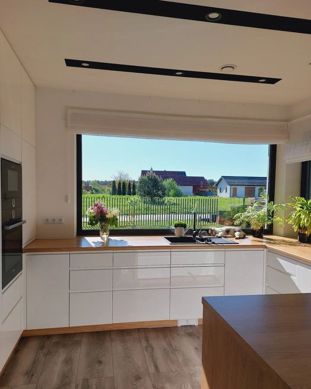 Large black-framed kitchen window overlooking a sunny green backyard and residential houses.