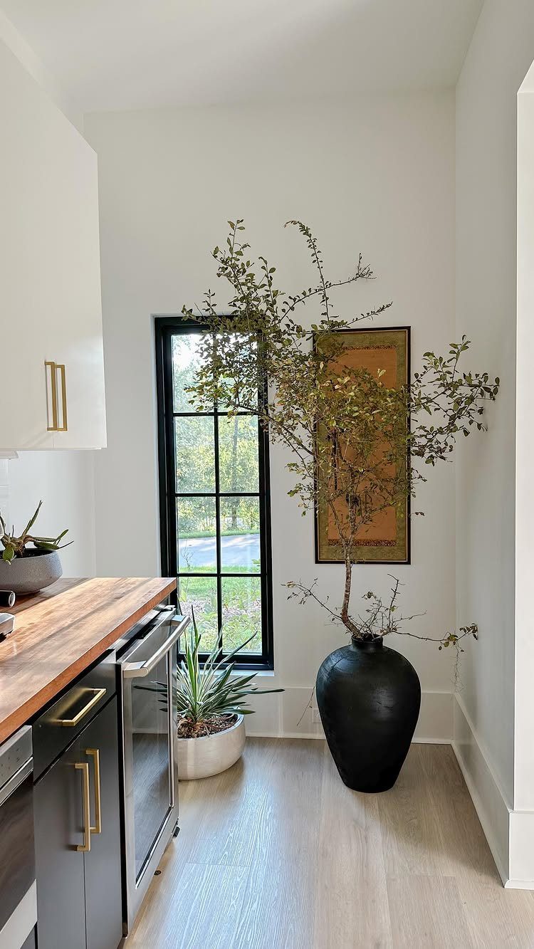15 Modern Minimalist Home Ideas That Define Clean Living 11 Tall leafy branch in a black vase and potted aloe in a minimalist room.